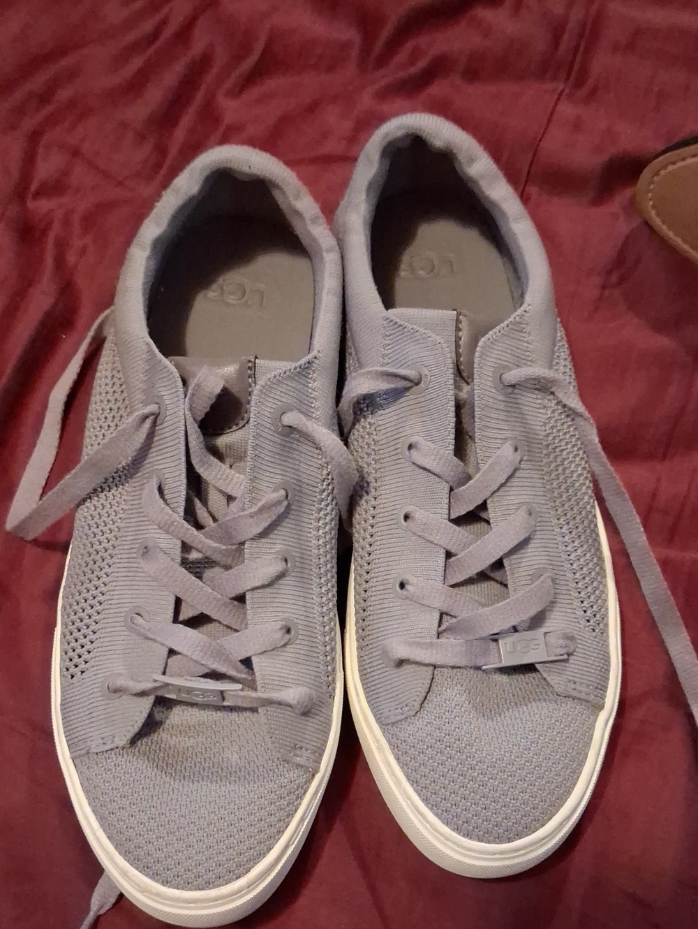 Womans UGG Knit Lace-Up Sneakers in Light Gray